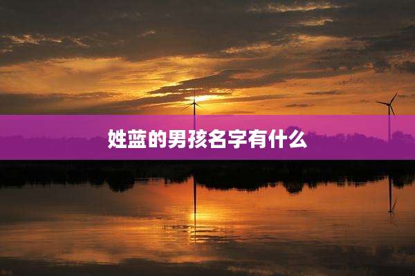 姓蓝的男孩名字有什么