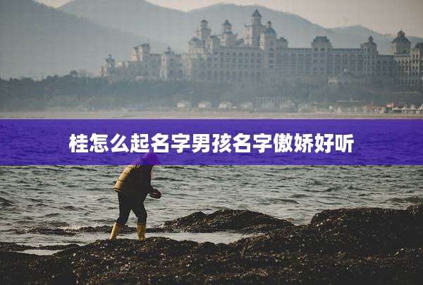 桂怎么起名字男孩名字傲娇好听