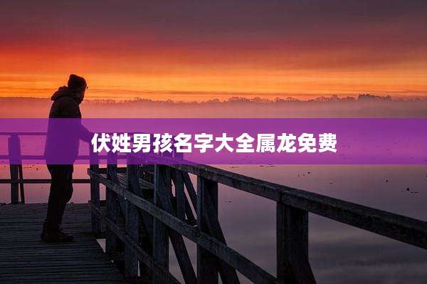 伏姓男孩名字大全属龙免费