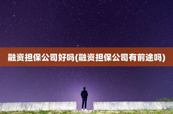 融资担保公司好吗(融资担保公司有前途吗)