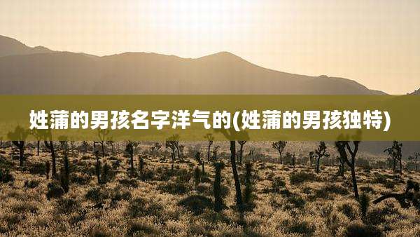 姓蒲的男孩名字洋气的(姓蒲的男孩独特)