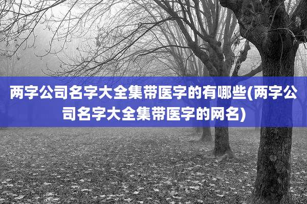 两字公司名字大全集带医字的有哪些(两字公司名字大全集带医字的网名)