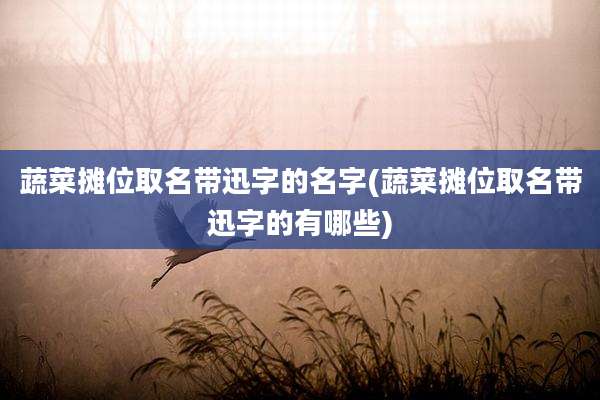 蔬菜摊位取名带迅字的名字(蔬菜摊位取名带迅字的有哪些)