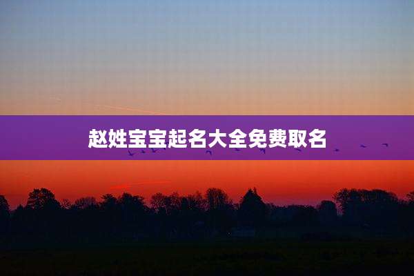 赵姓宝宝起名大全免费取名