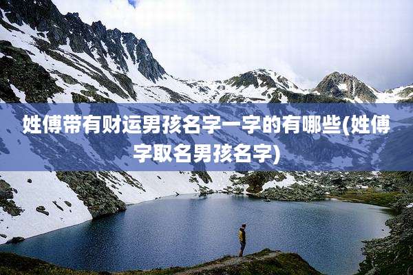 姓傅带有财运男孩名字一字的有哪些(姓傅字取名男孩名字)