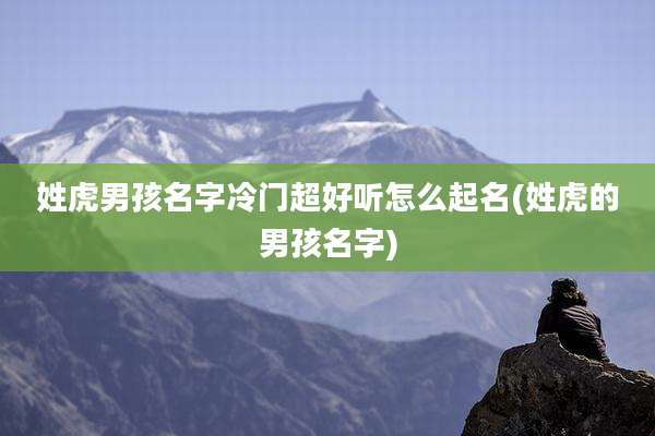 姓虎男孩名字冷门超好听怎么起名(姓虎的男孩名字)