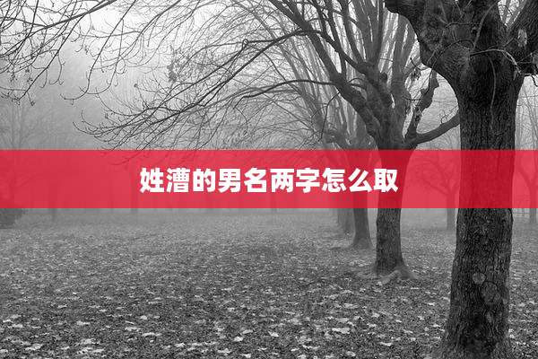 姓漕的男名两字怎么取