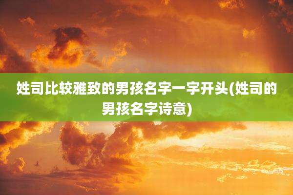 姓司比较雅致的男孩名字一字开头(姓司的男孩名字诗意)