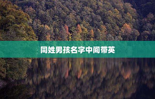 同姓男孩名字中间带英