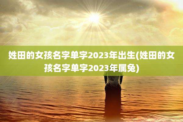 姓田的女孩名字单字2023年出生(姓田的女孩名字单字2023年属兔)