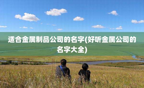 适合金属制品公司的名字(好听金属公司的名字大全)
