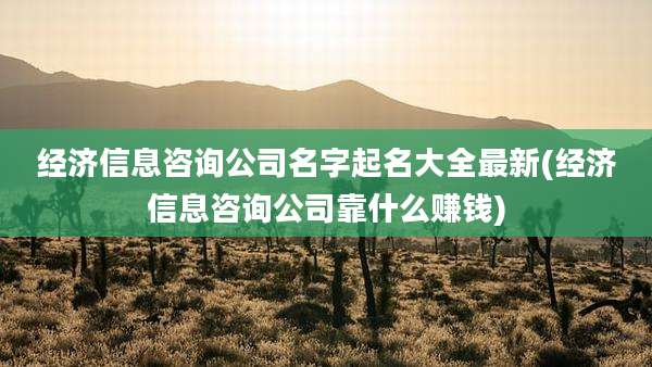 经济信息咨询公司名字起名大全最新(经济信息咨询公司靠什么赚钱)