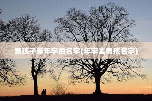 男孩子带年字的名字(年字辈男孩名字)