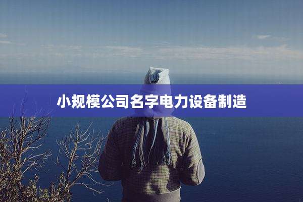 小规模公司名字电力设备制造
