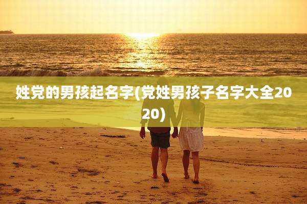 姓党的男孩起名字(党姓男孩子名字大全2020)
