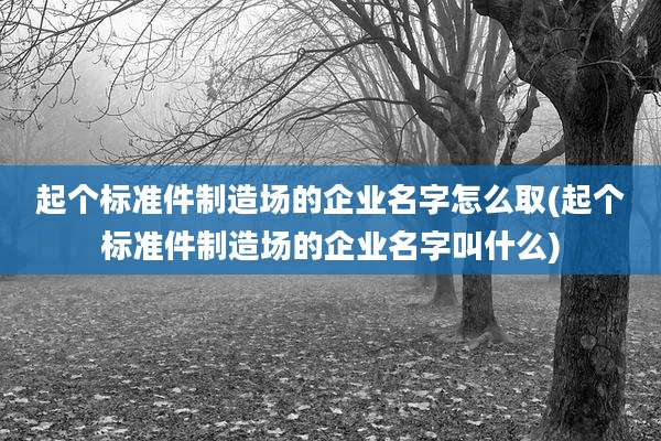 起个标准件制造场的企业名字怎么取(起个标准件制造场的企业名字叫什么)