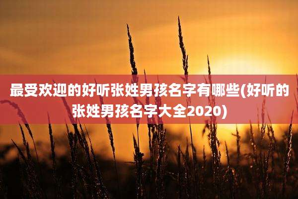 最受欢迎的好听张姓男孩名字有哪些(好听的张姓男孩名字大全2020)