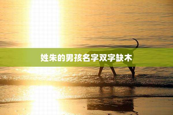 姓朱的男孩名字双字缺木