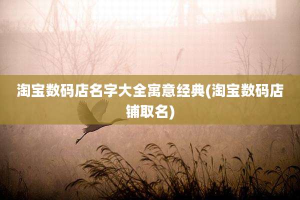 淘宝数码店名字大全寓意经典(淘宝数码店铺取名)