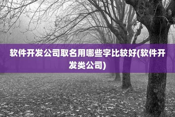 软件开发公司取名用哪些字比较好(软件开发类公司)