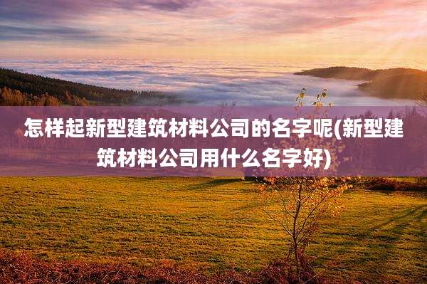 怎样起新型建筑材料公司的名字呢(新型建筑材料公司用什么名字好)