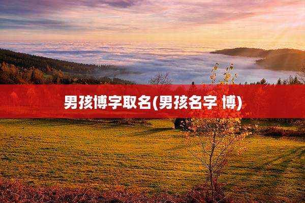 男孩博字取名(男孩名字 博)