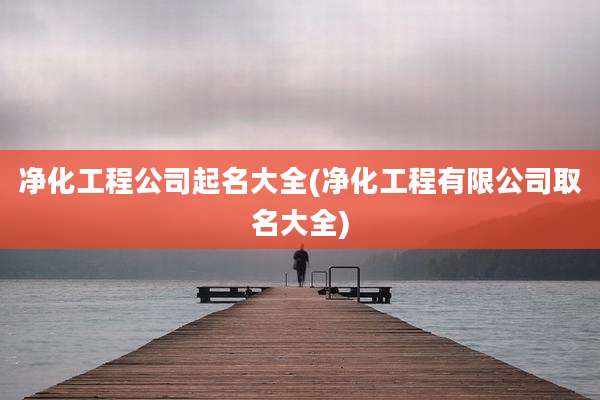 净化工程公司起名大全(净化工程有限公司取名大全)