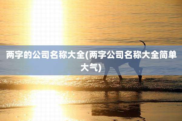 两字的公司名称大全(两字公司名称大全简单大气)