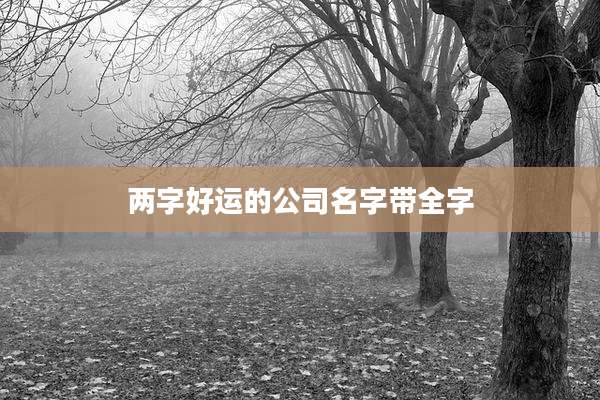 两字好运的公司名字带全字