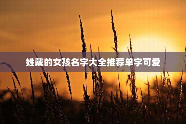 姓戴的女孩名字大全推荐单字可爱