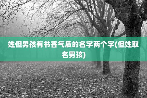 姓但男孩有书香气质的名字两个字(但姓取名男孩)