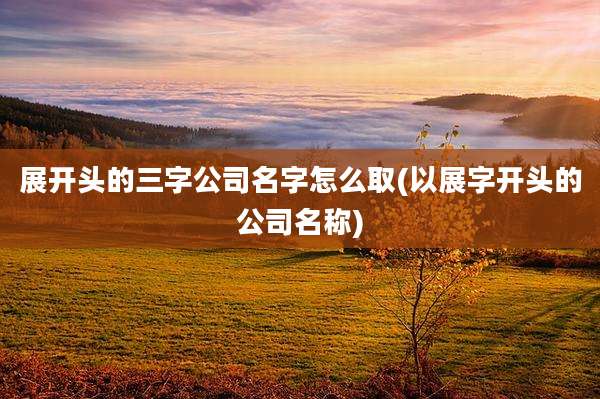 展开头的三字公司名字怎么取(以展字开头的公司名称)