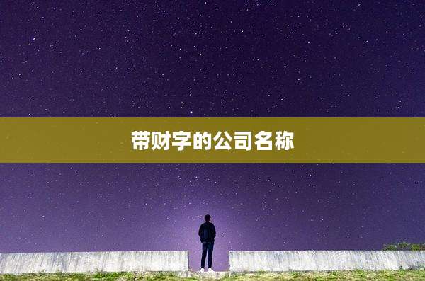 带财字的公司名称