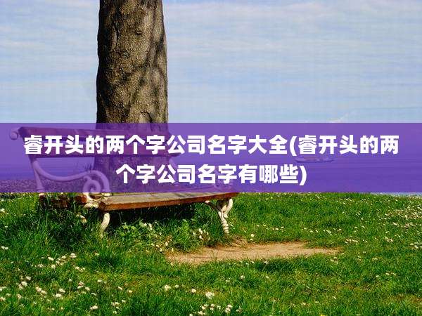 睿开头的两个字公司名字大全(睿开头的两个字公司名字有哪些)