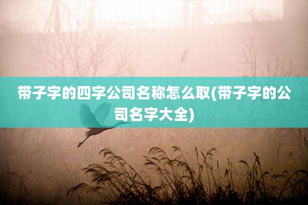 带子字的四字公司名称怎么取(带子字的公司名字大全)