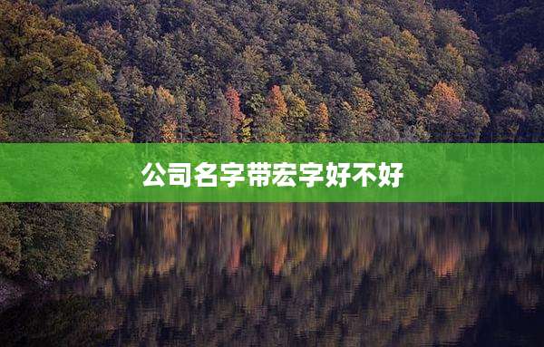 公司名字带宏字好不好