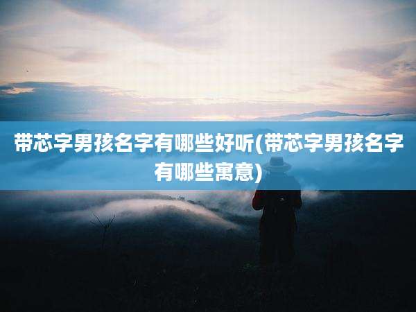 带芯字男孩名字有哪些好听(带芯字男孩名字有哪些寓意)