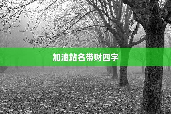 加油站名带财四字