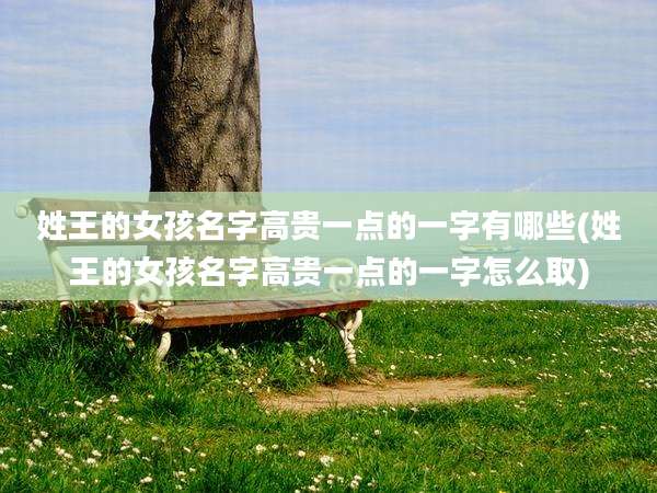 姓王的女孩名字高贵一点的一字有哪些(姓王的女孩名字高贵一点的一字怎么取)