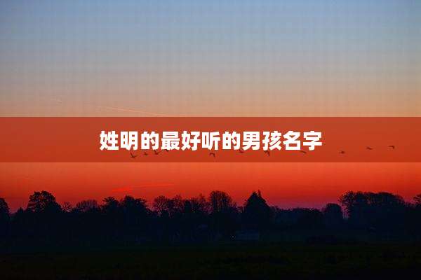 姓明的最好听的男孩名字