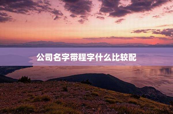 公司名字带程字什么比较配