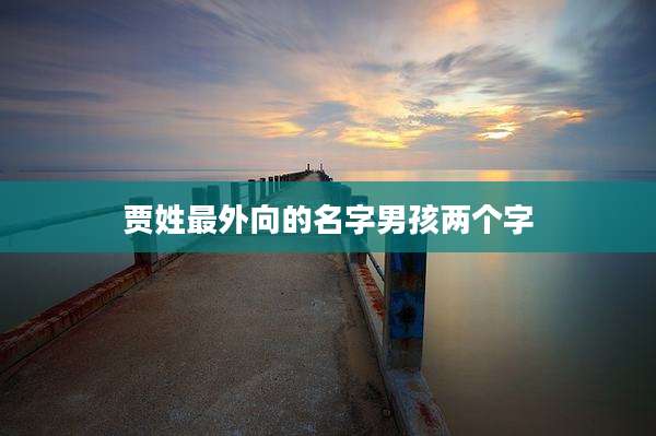贾姓最外向的名字男孩两个字