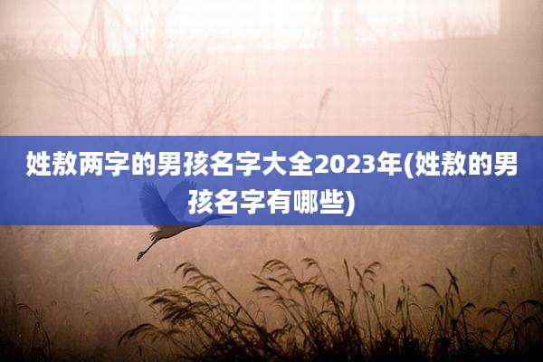 姓敖两字的男孩名字大全2023年(姓敖的男孩名字有哪些)