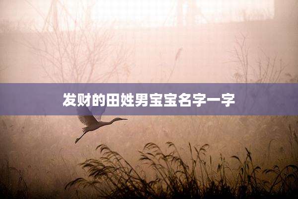 发财的田姓男宝宝名字一字