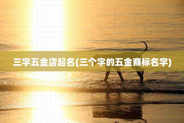 三字五金店起名(三个字的五金商标名字)