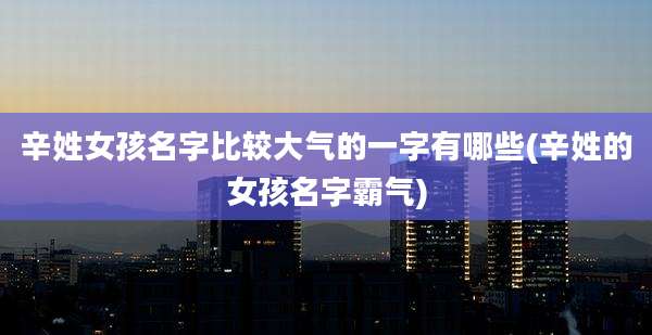 辛姓女孩名字比较大气的一字有哪些(辛姓的女孩名字霸气)