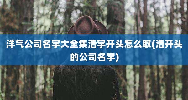 洋气公司名字大全集浩字开头怎么取(浩开头的公司名字)