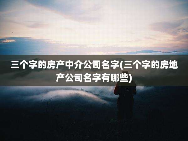 三个字的房产中介公司名字(三个字的房地产公司名字有哪些)
