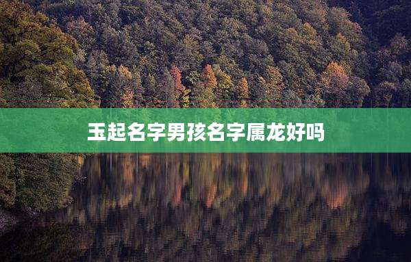 玉起名字男孩名字属龙好吗