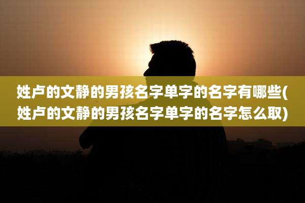 姓卢的文静的男孩名字单字的名字有哪些(姓卢的文静的男孩名字单字的名字怎么取)